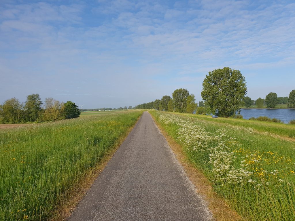 photo asphalted path along Bergsche Maas (old Meus)